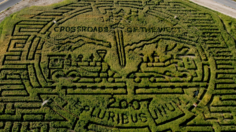 Illustration for article titled 23 Amazing Labyrinths To Get Lost In